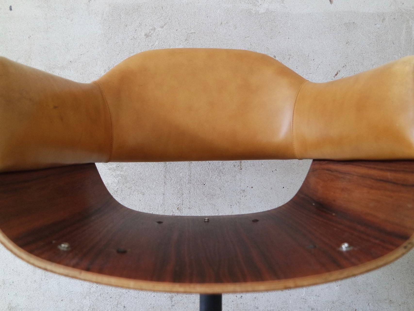 Poltronova Curved Plywood 1950