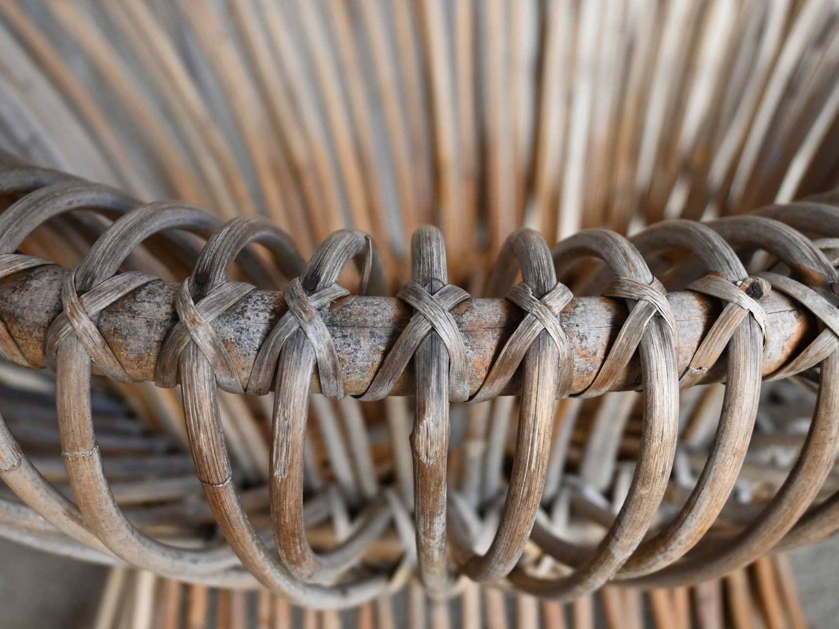 Bonacina Franco Albini Margherita 1951