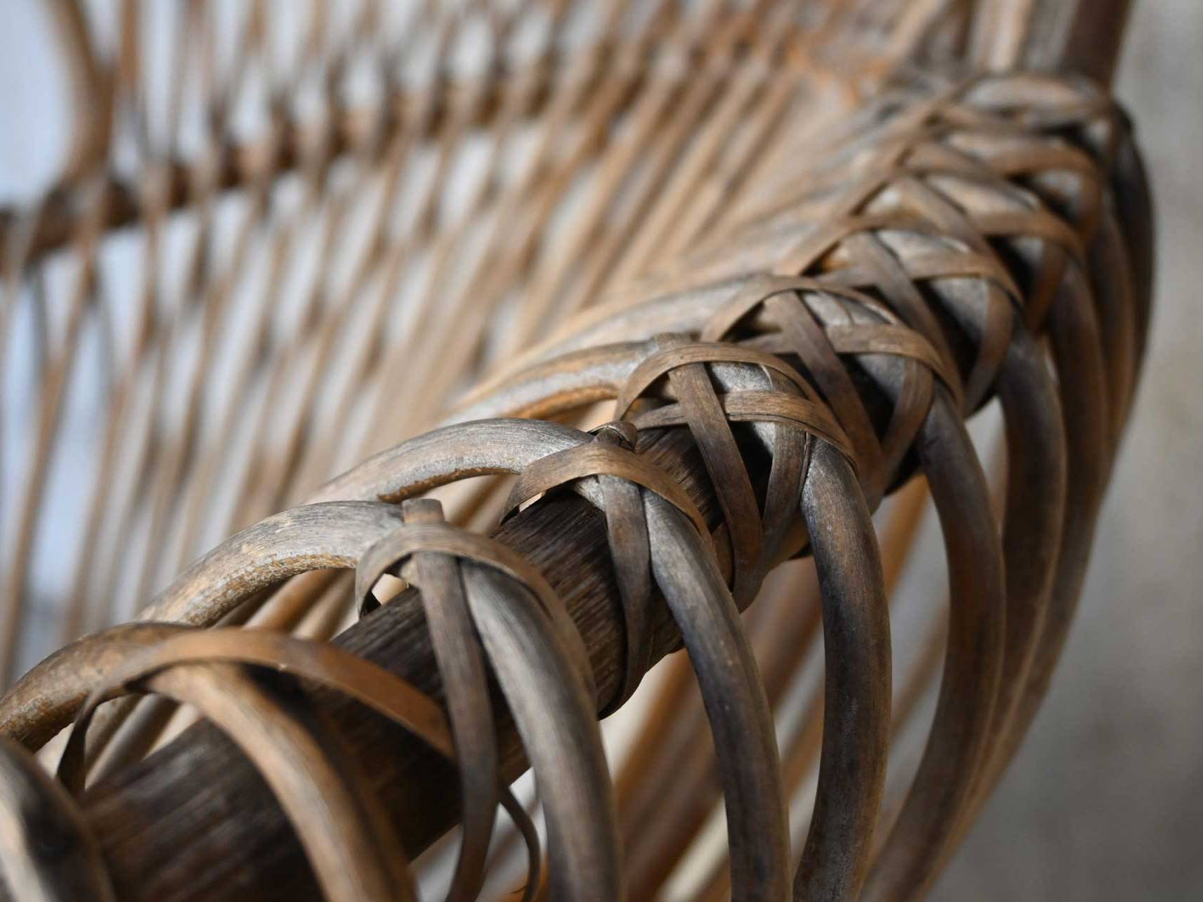 Bonacina Franco Albini Margherita 1951