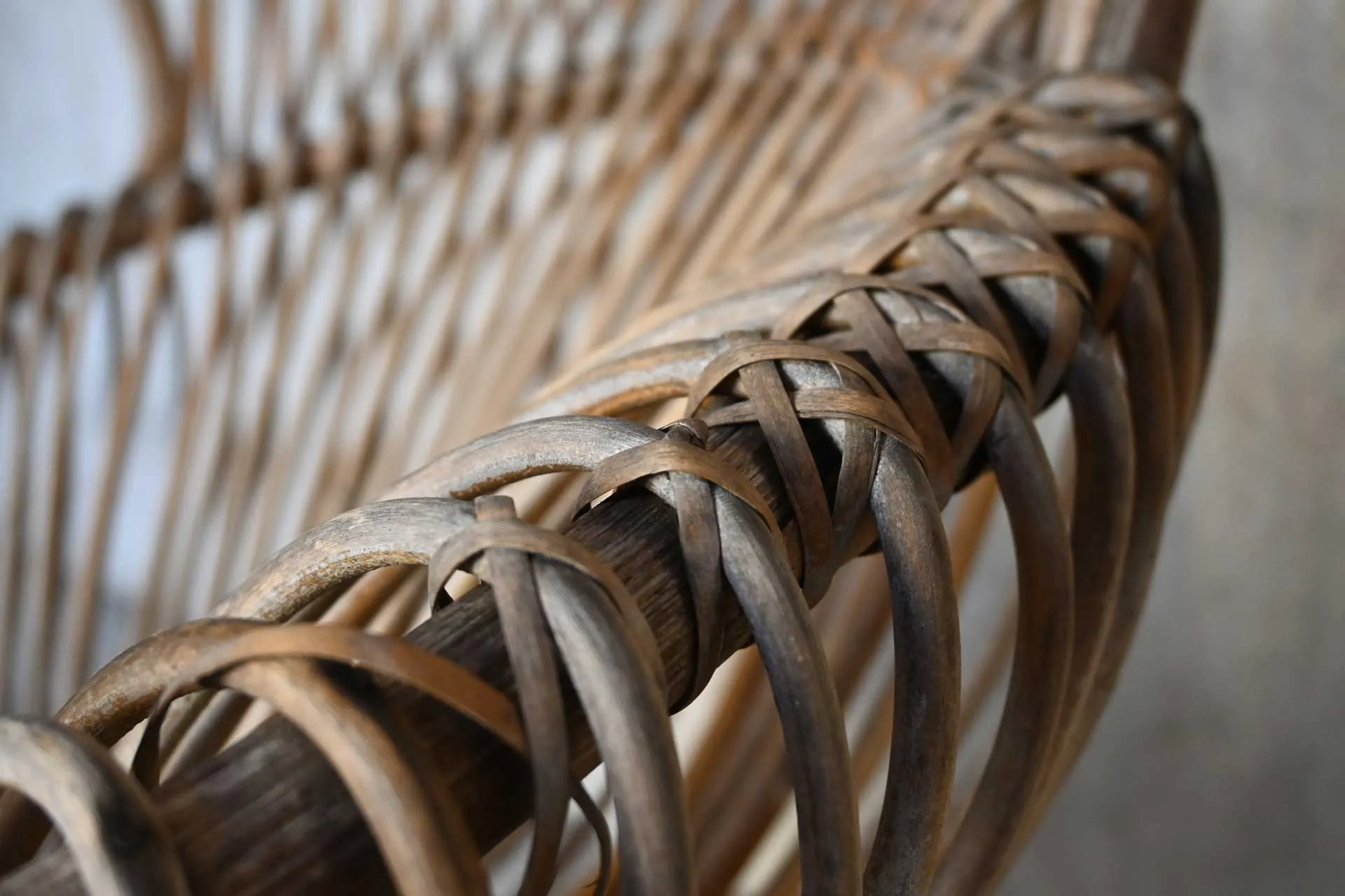 Bonacina Franco Albini Margherita 1951