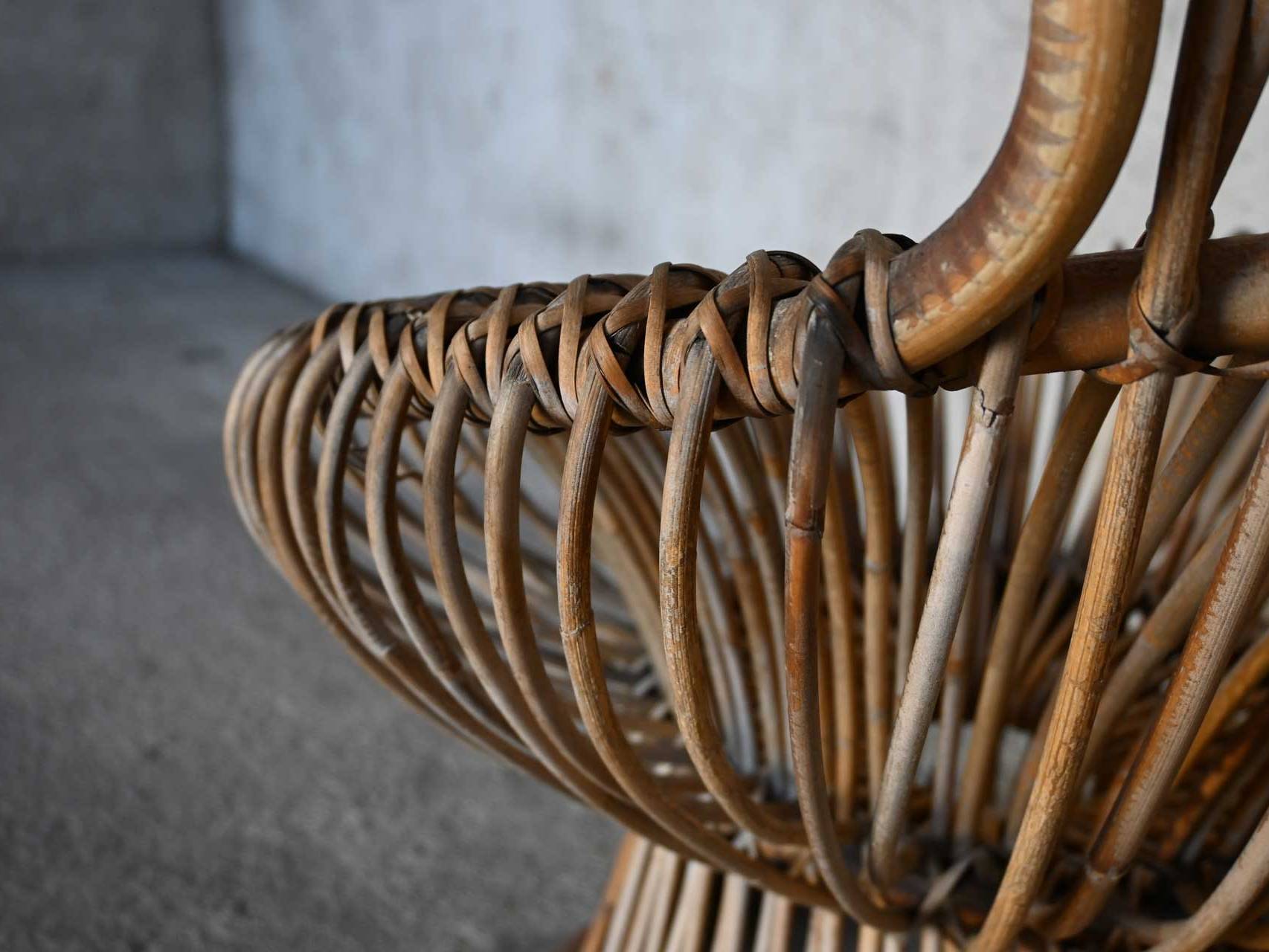 Bonacina Franco Albini Margherita 1951