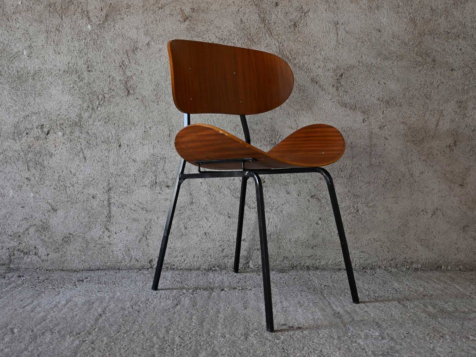 Curved Wood Industry by Carlo Ratti T. Silvana Comfort 1950